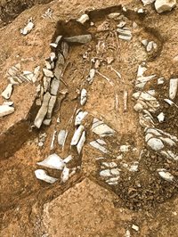 5 Mile Lane Medieval burials